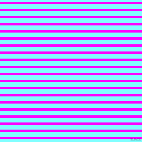 horizontal lines stripes, 8 pixel line width, 16 pixel line spacing, Magenta and Electric Blue horizontal lines and stripes seamless tileable