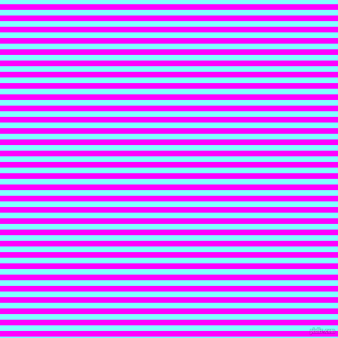 horizontal lines stripes, 8 pixel line width, 8 pixel line spacing, Magenta and Electric Blue horizontal lines and stripes seamless tileable