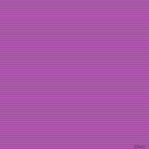 horizontal lines stripes, 2 pixel line width, 4 pixel line spacing, Magenta and Grey horizontal lines and stripes seamless tileable