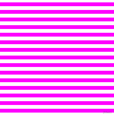 horizontal lines stripes, 16 pixel line width, 16 pixel line spacing, Magenta and White horizontal lines and stripes seamless tileable