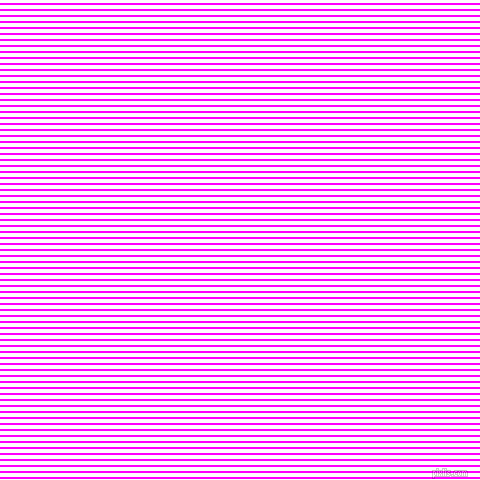 horizontal lines stripes, 2 pixel line width, 4 pixel line spacing, Magenta and White horizontal lines and stripes seamless tileable