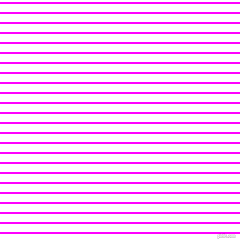 horizontal lines stripes, 4 pixel line width, 16 pixel line spacing, Magenta and White horizontal lines and stripes seamless tileable