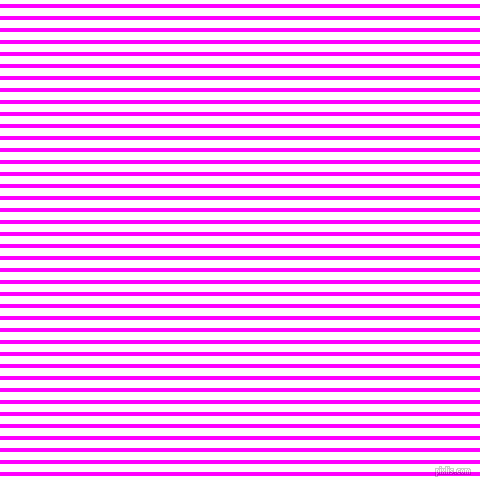 horizontal lines stripes, 4 pixel line width, 8 pixel line spacing, Magenta and White horizontal lines and stripes seamless tileable