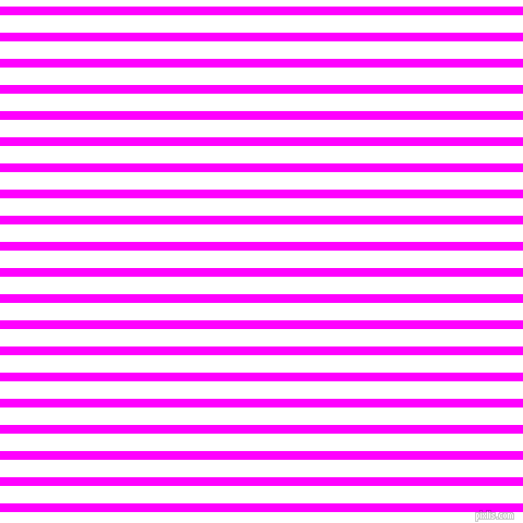 horizontal lines stripes, 8 pixel line width, 16 pixel line spacing, Magenta and White horizontal lines and stripes seamless tileable