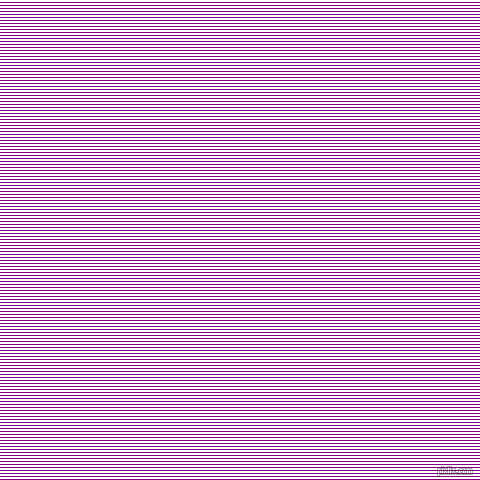 horizontal lines stripes, 1 pixel line width, 2 pixel line spacing, Purple and White horizontal lines and stripes seamless tileable