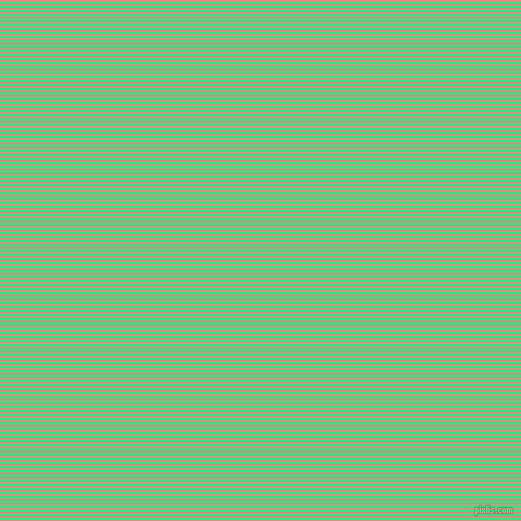 horizontal lines stripes, 2 pixel line width, 2 pixel line spacing, Salmon and Spring Green horizontal lines and stripes seamless tileable