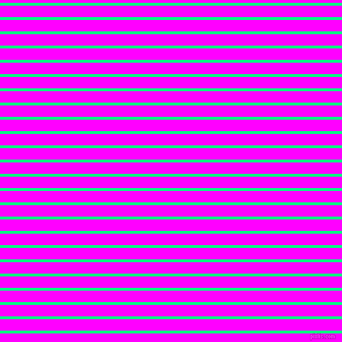 horizontal lines stripes, 4 pixel line width, 16 pixel line spacing, Spring Green and Magenta horizontal lines and stripes seamless tileable