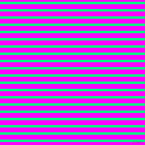 horizontal lines stripes, 8 pixel line width, 16 pixel line spacing, Spring Green and Magenta horizontal lines and stripes seamless tileable