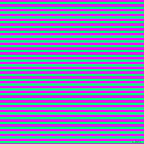 horizontal lines stripes, 8 pixel line width, 8 pixel line spacing, Spring Green and Magenta horizontal lines and stripes seamless tileable