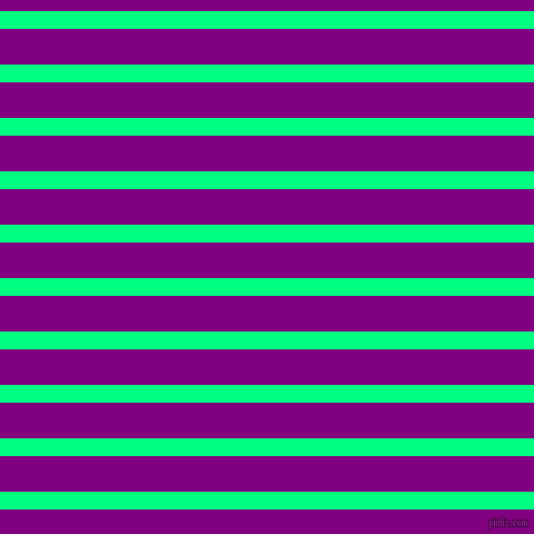 horizontal lines stripes, 16 pixel line width, 32 pixel line spacing, Spring Green and Purple horizontal lines and stripes seamless tileable