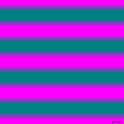 horizontal lines stripes, 2 pixel line width, 2 pixel line spacing, Teal and Magenta horizontal lines and stripes seamless tileable