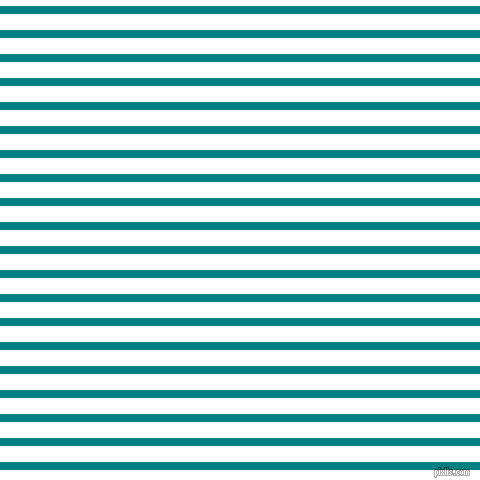 horizontal lines stripes, 8 pixel line width, 16 pixel line spacing, Teal and White horizontal lines and stripes seamless tileable