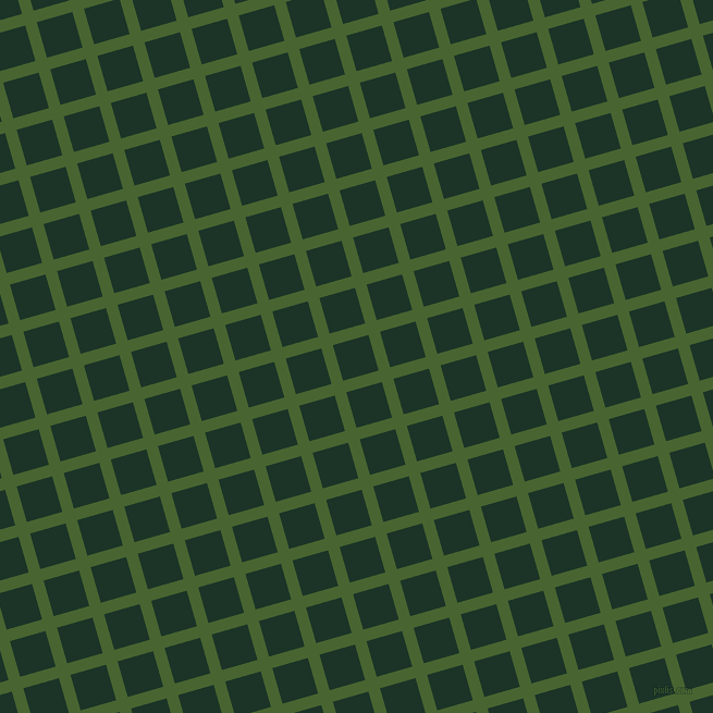 16/106 degree angle diagonal checkered chequered lines, 11 pixel lines width, 34 pixel square size, Dell and Cardin Green plaid checkered seamless tileable