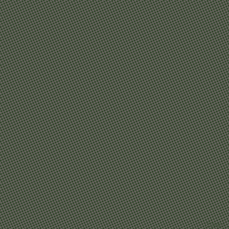 23/113 degree angle diagonal checkered chequered lines, 1 pixel line width, 4 pixel square size, Empress and Palm Leaf plaid checkered seamless tileable