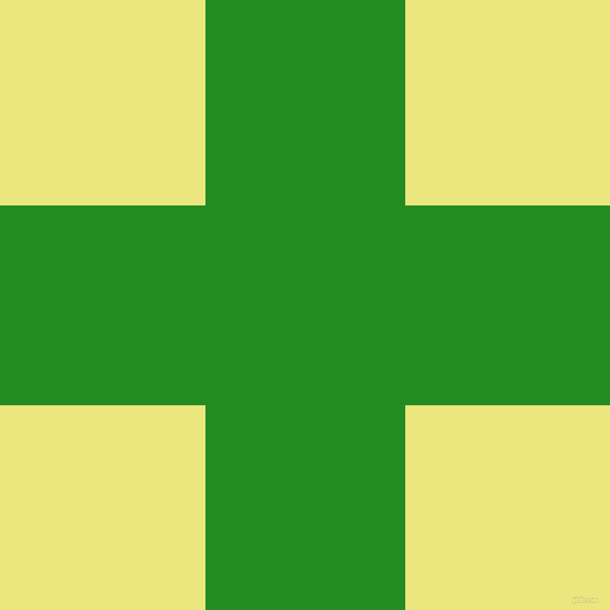 checkered chequered horizontal vertical lines, 281 pixel line width, 577 pixel square size, Forest Green and Texas plaid checkered seamless tileable