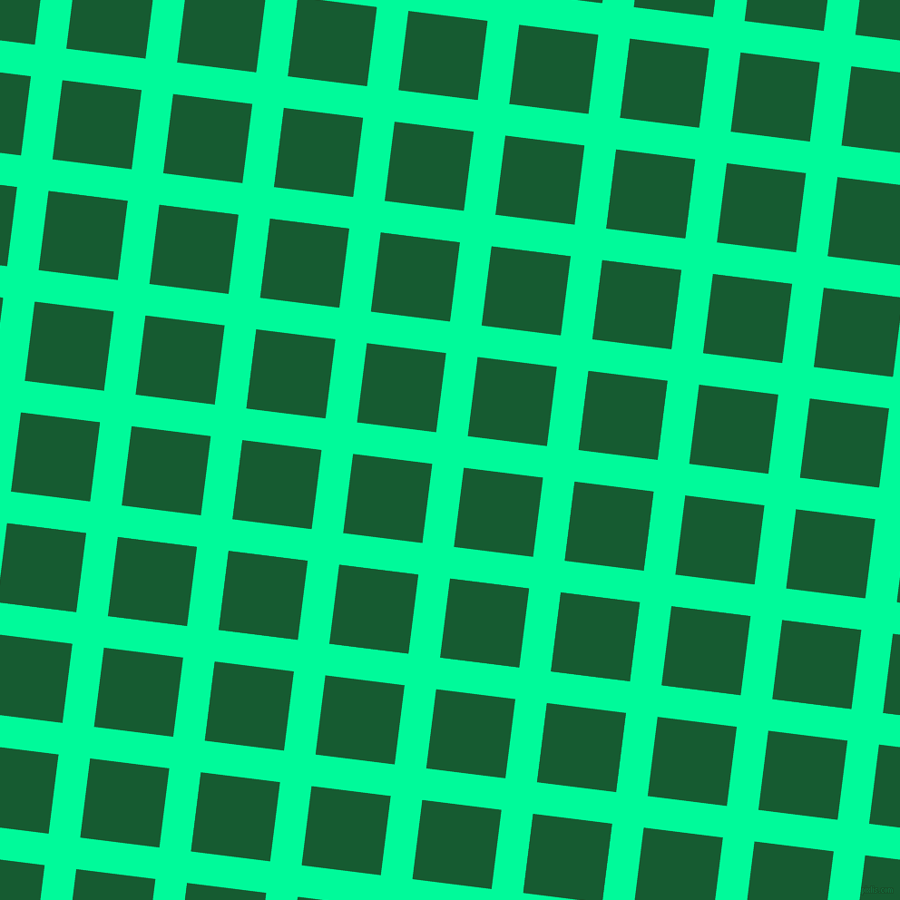 83/173 degree angle diagonal checkered chequered lines, 35 pixel line width, 88 pixel square size, Medium Spring Green and Crusoe plaid checkered seamless tileable