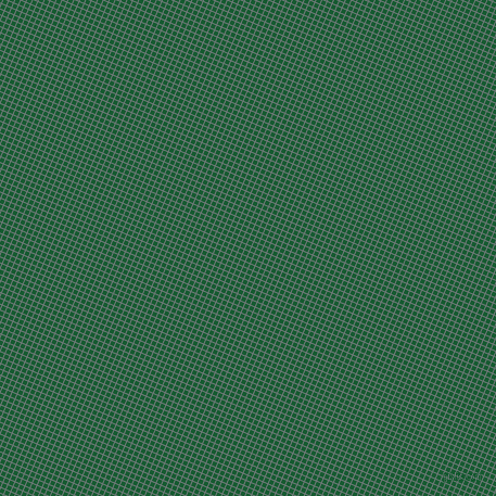 67/157 degree angle diagonal checkered chequered lines, 1 pixel line width, 4 pixel square size, Rolling Stone and Crusoe plaid checkered seamless tileable