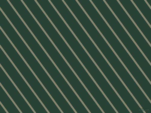 126 degree angle lines stripes, 6 pixel line width, 31 pixel line spacing, stripes and lines seamless tileable