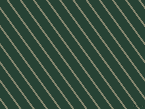 126 degree angle lines stripes, 6 pixel line width, 31 pixel line spacing, Schist and English Holly stripes and lines seamless tileable