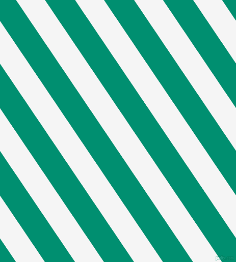 124 degree angle lines stripes, 47 pixel line width, 49 pixel line spacing, White Smoke and Observatory stripes and lines seamless tileable