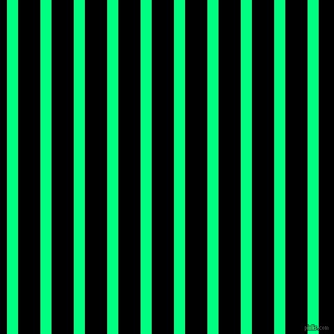 vertical lines stripes, 16 pixel line width, 32 pixel line spacing, Spring Green and Black vertical lines and stripes seamless tileable
