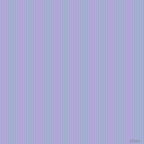 vertical lines stripes, 2 pixel line width, 4 pixel line spacing, Spring Green and Fuchsia Pink vertical lines and stripes seamless tileable