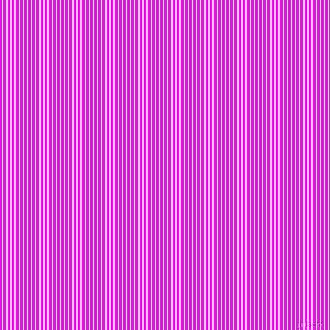 vertical lines stripes, 2 pixel line width, 4 pixel line spacing, White and Magenta vertical lines and stripes seamless tileable